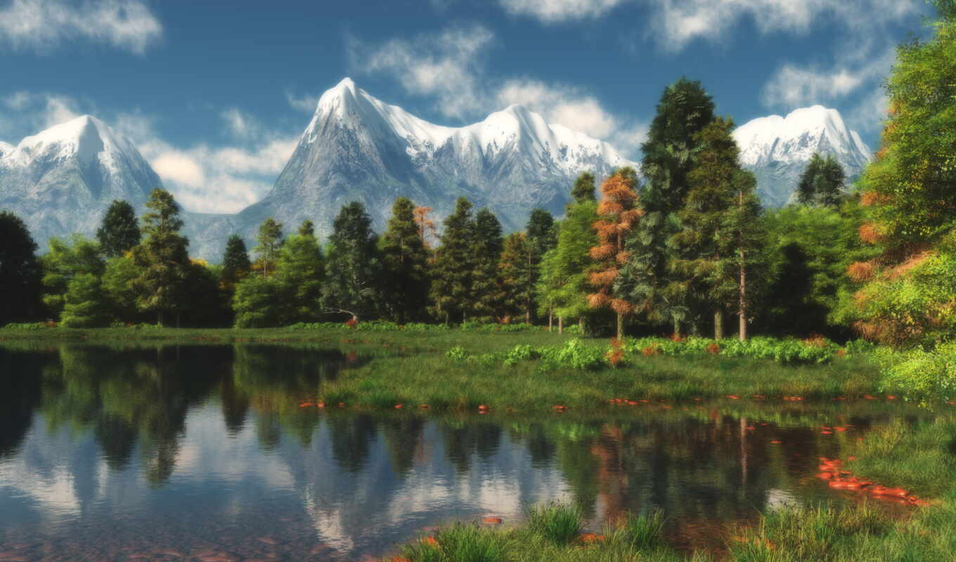 Описание изображения